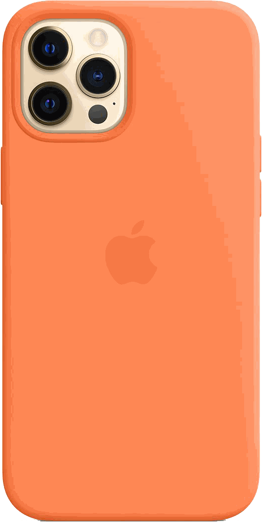 Чехол для Apple iPhone 12 Pro Silicone Case MagSafe «Кумкват»